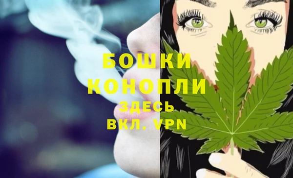 apvp Дмитров