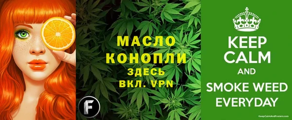 МДПВ Дмитриев